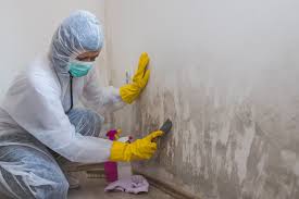 Best Mold Removal for HVAC Installations  in Bay Harbor Islands, FL